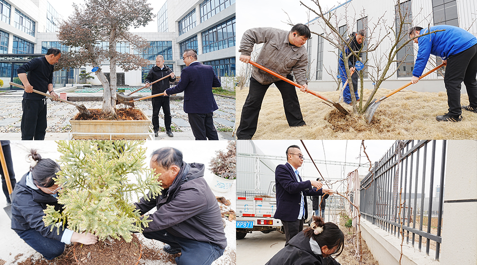 Coronet | Soil, Prune, Plant – Growing Forward with Renewal